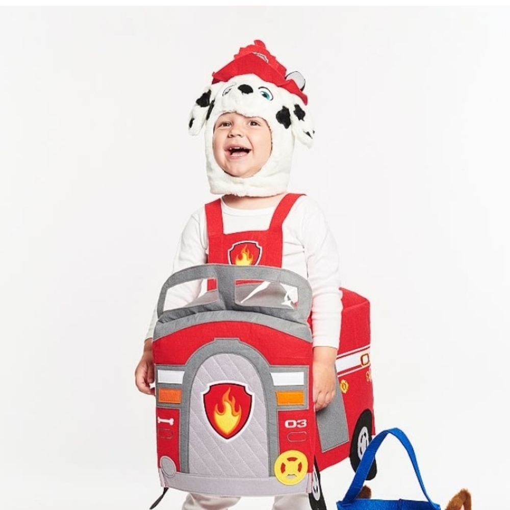Marshall Paw Patrol Costumer-pottery Bard
